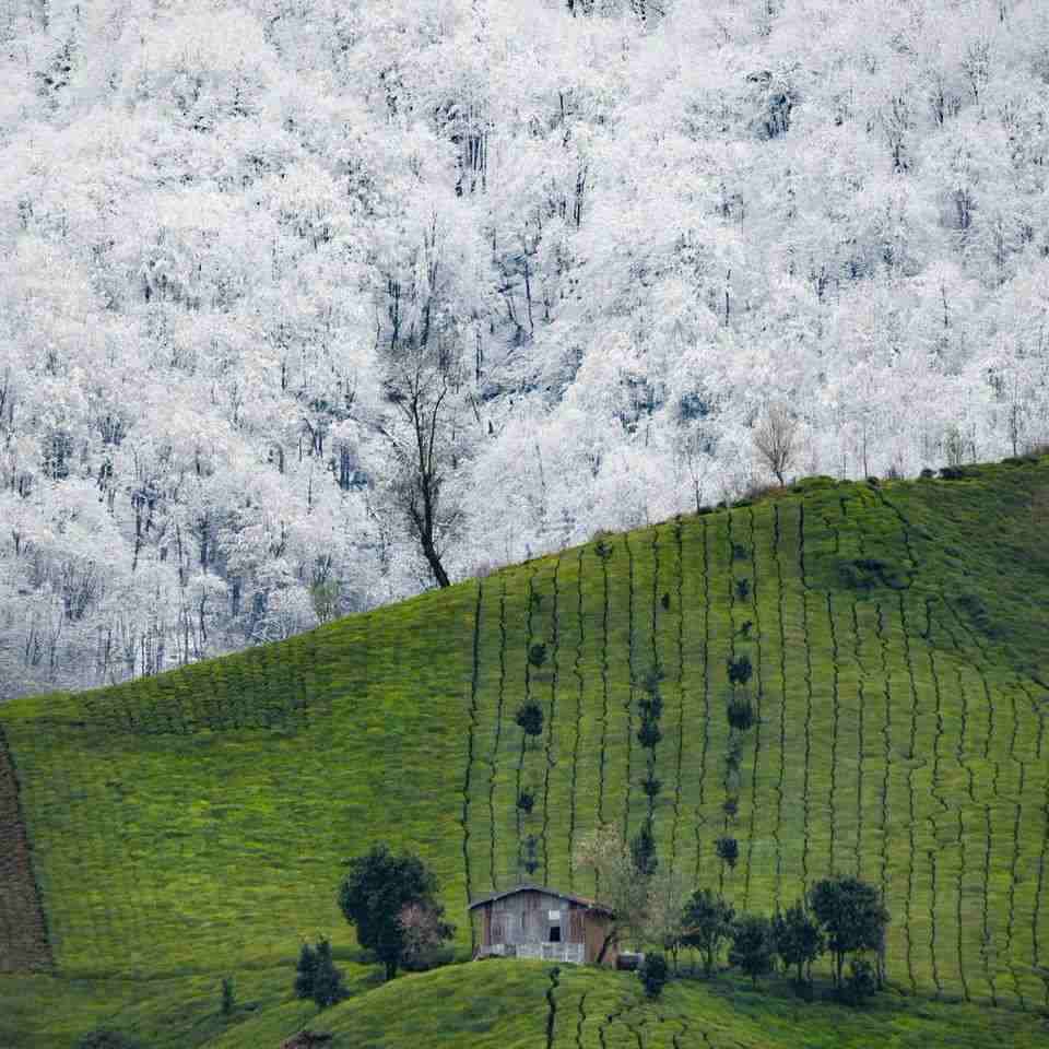 آهنگ جدید  ای غم بیا ای غم بیا